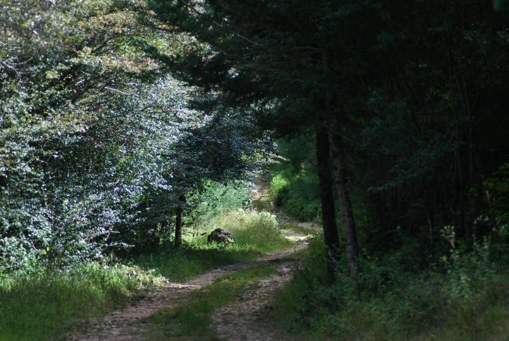 Hostal Casa 4 Estaciones, Coliving & Nature San Cristóbal de Las Casas Εξωτερικό φωτογραφία