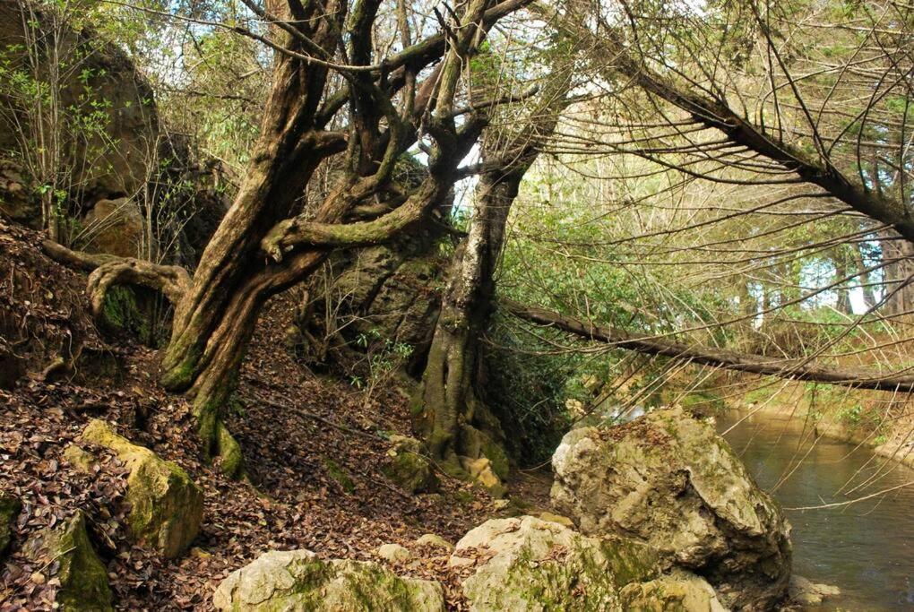 Hostal Casa 4 Estaciones, Coliving & Nature San Cristóbal de Las Casas Εξωτερικό φωτογραφία