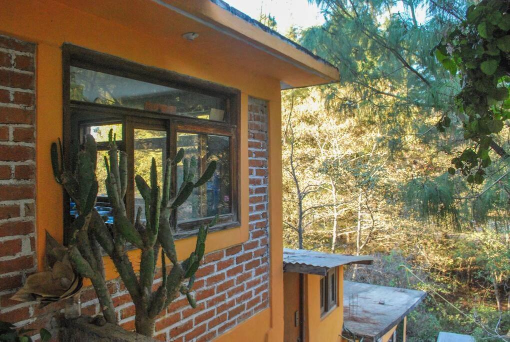 Hostal Casa 4 Estaciones, Coliving & Nature San Cristóbal de Las Casas Εξωτερικό φωτογραφία