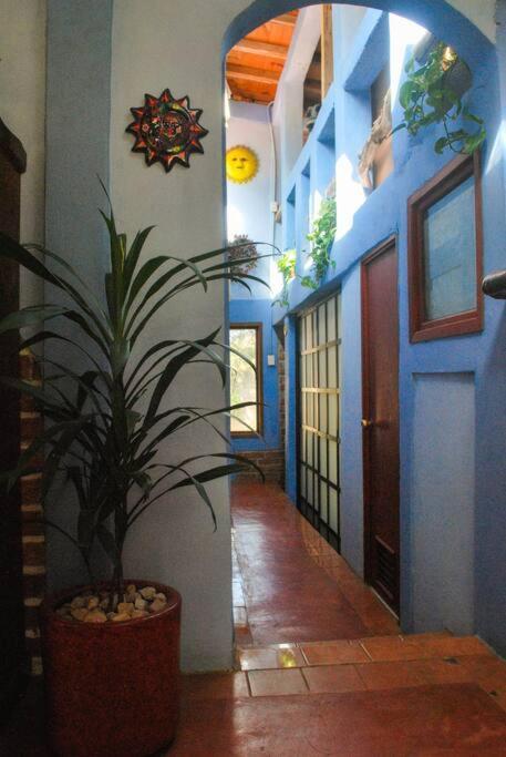 Hostal Casa 4 Estaciones, Coliving & Nature San Cristóbal de Las Casas Εξωτερικό φωτογραφία